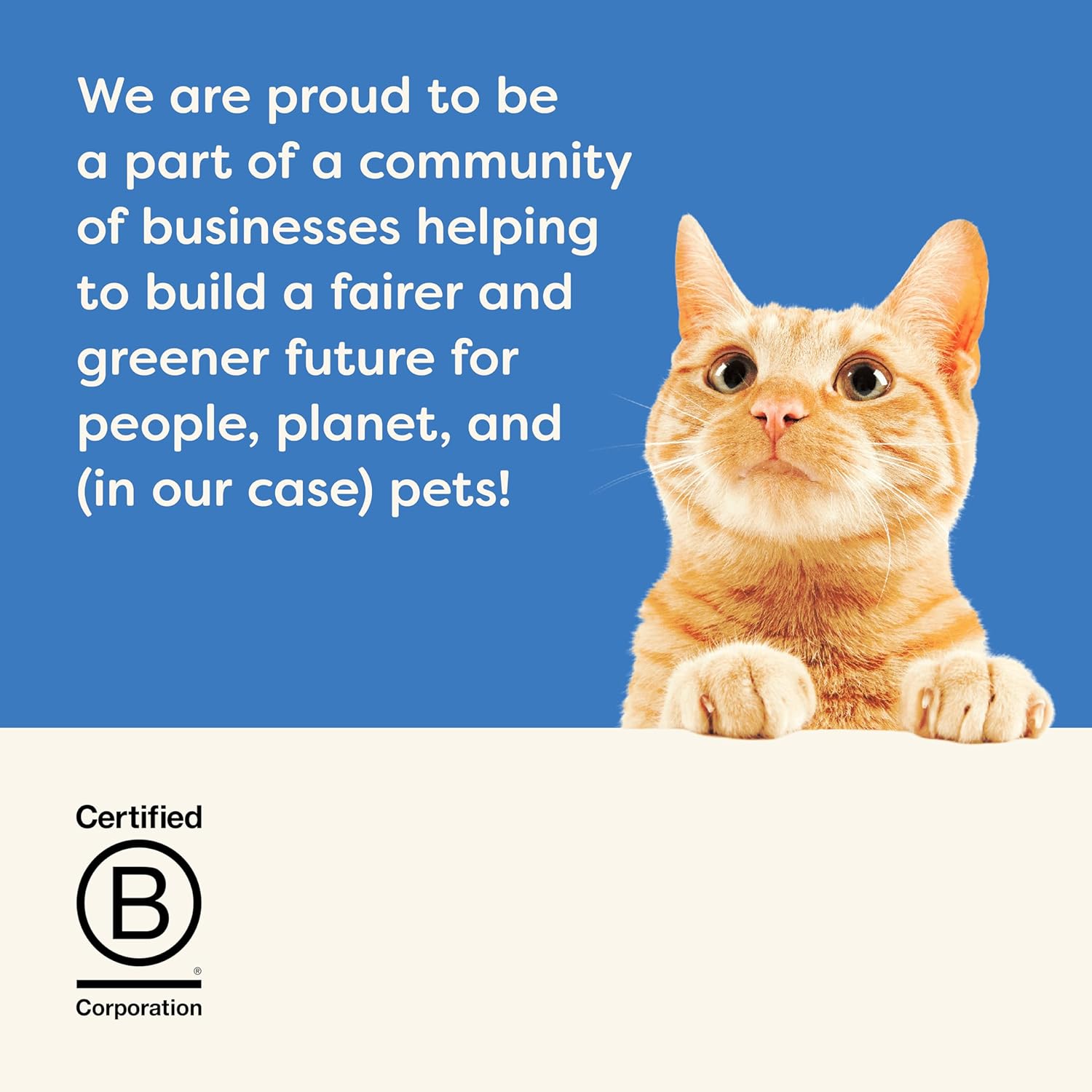 Applaws Cat Tins Tuna Fillet With Salmon 70 Gm (7) Applaws Cat Tins Tuna Fillet With Salmon 70 Gm (7)