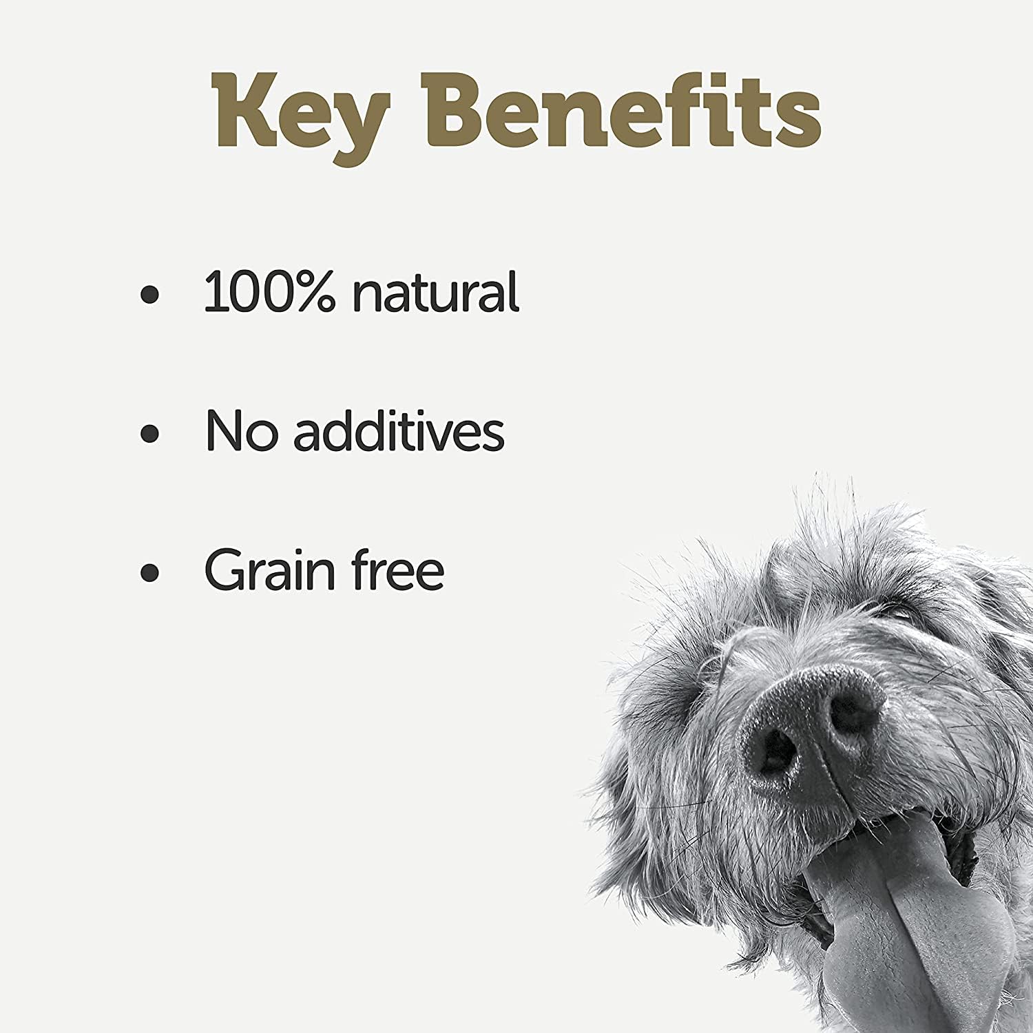 Applaws Dog Pouch Chicken Breast With Broccoli Apple (6) Applaws Dog Pouch Chicken Breast With Broccoli Apple (6)