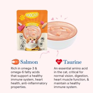 Moochie Mousse With Salmon Pouch For Cats (2)
