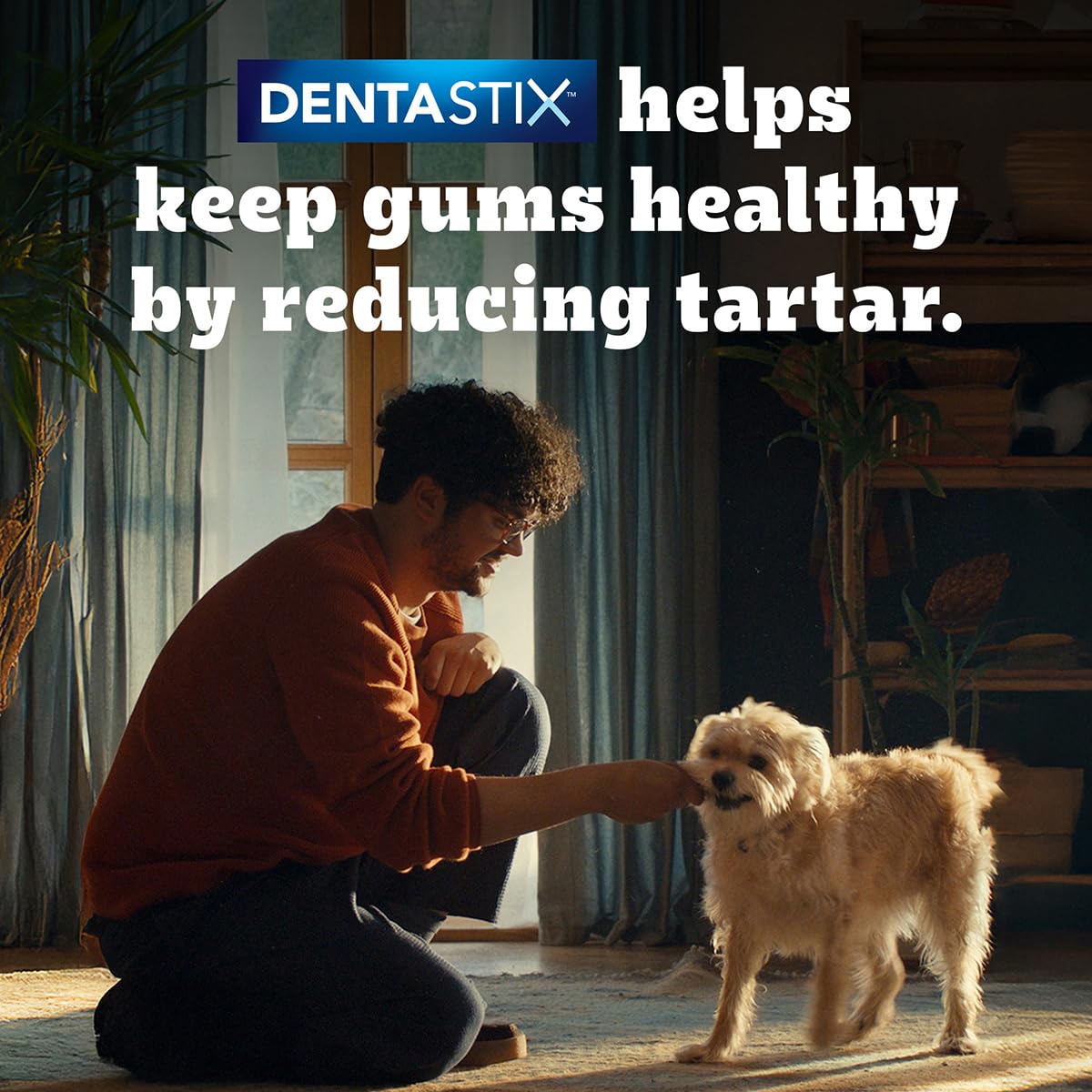 Pedigree Dentastix Large Dog Dental Treats – 7 Sticks Pack (3) Pedigree Dentastix Large Dog Dental Treats – 7 Sticks Pack (3)