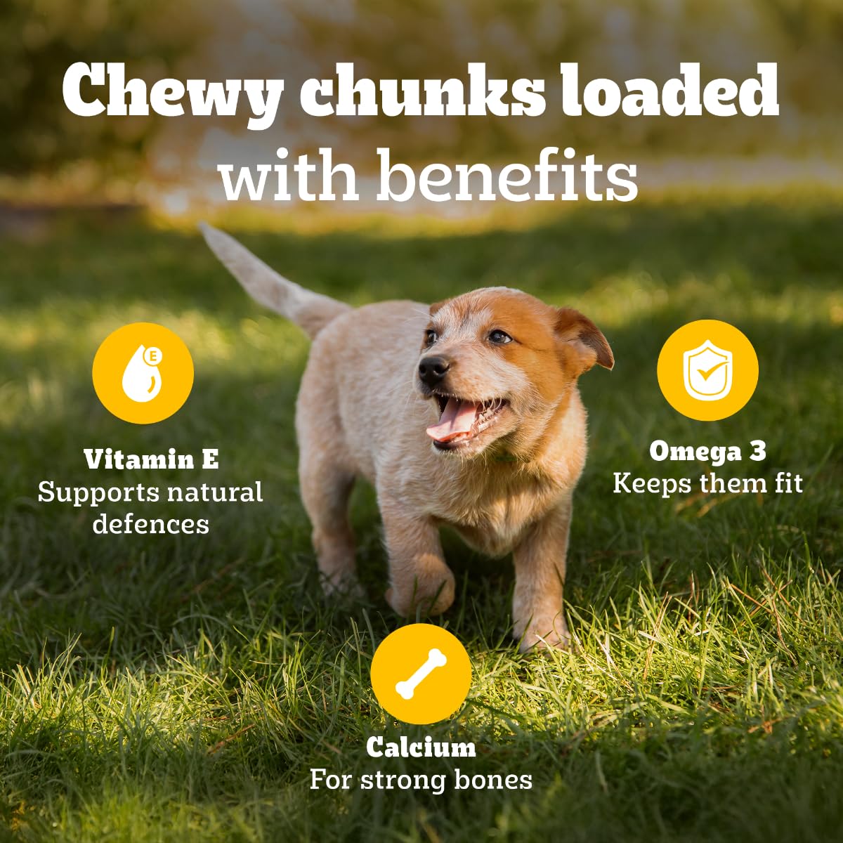 Pedigree Tasty Minis Puppy Treats (3) Pedigree Tasty Minis Puppy Treats (3)