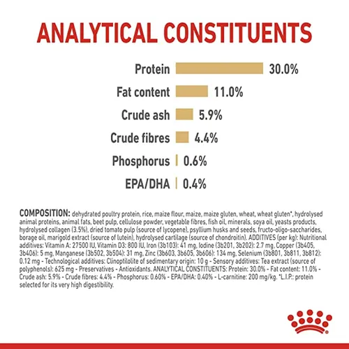 Royal Canin Labrador Retriever Adult 5+ Dry Dog Food (2) Royal Canin Labrador Retriever Adult 5+ Dry Dog Food (2)