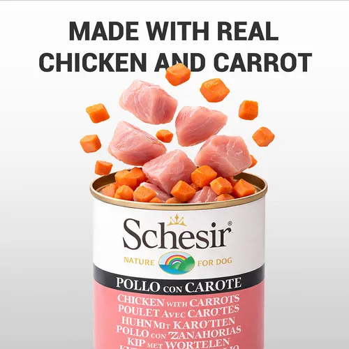 Schesir Chicken & Rice With Carrot In Jelly Dog Tin (2) Schesir Chicken & Rice With Carrot In Jelly Dog Tin (2)