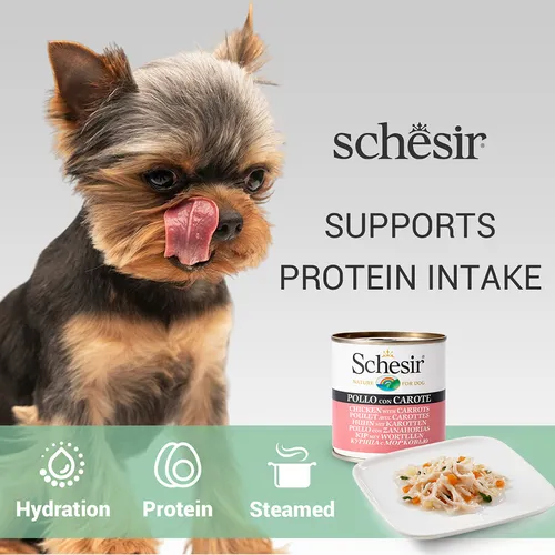 Schesir Chicken & Rice With Carrot In Jelly Dog Tin (3) Schesir Chicken & Rice With Carrot In Jelly Dog Tin (3)