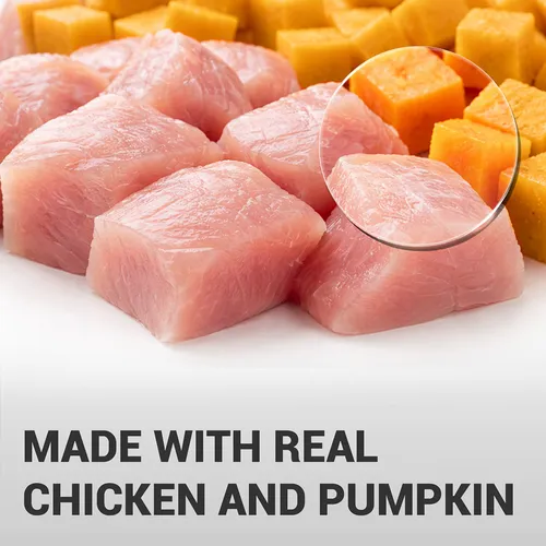 Schesir Chicken & Rice With Papaya In Gel Dog Tin (2) Schesir Chicken & Rice With Papaya In Gel Dog Tin (2)