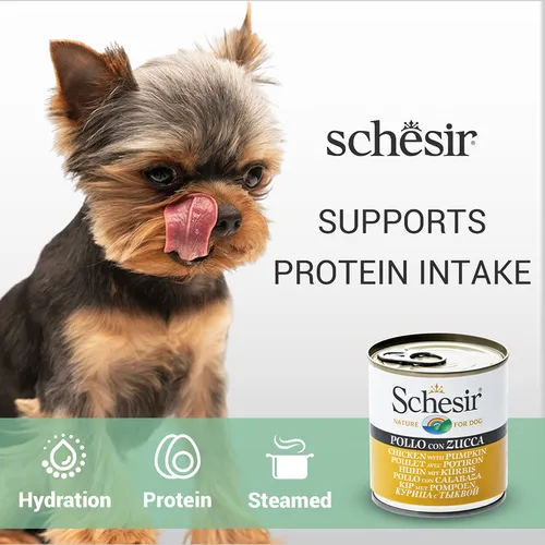 Schesir Chicken & Rice With Papaya In Gel Dog Tin (4) Schesir Chicken & Rice With Papaya In Gel Dog Tin (4)