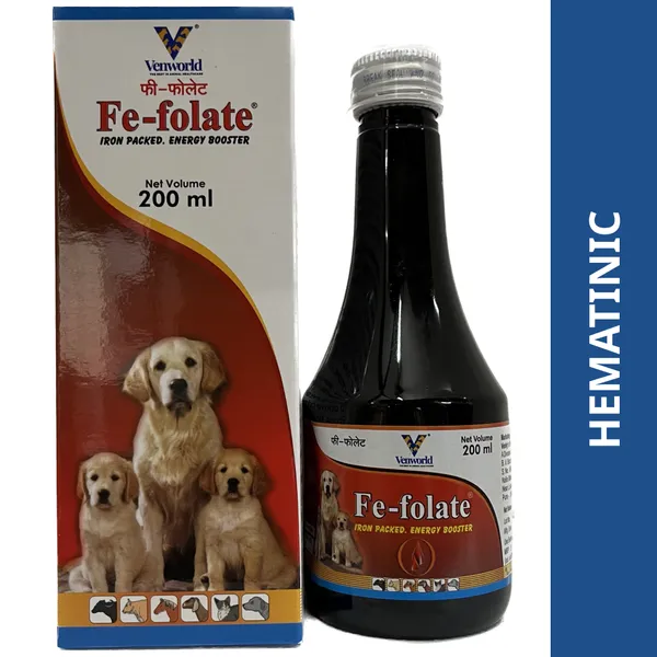 Venky’s Fe‑Folate Energy Booster Syrup (1) Venky’s Fe‑Folate Energy Booster Syrup (1)