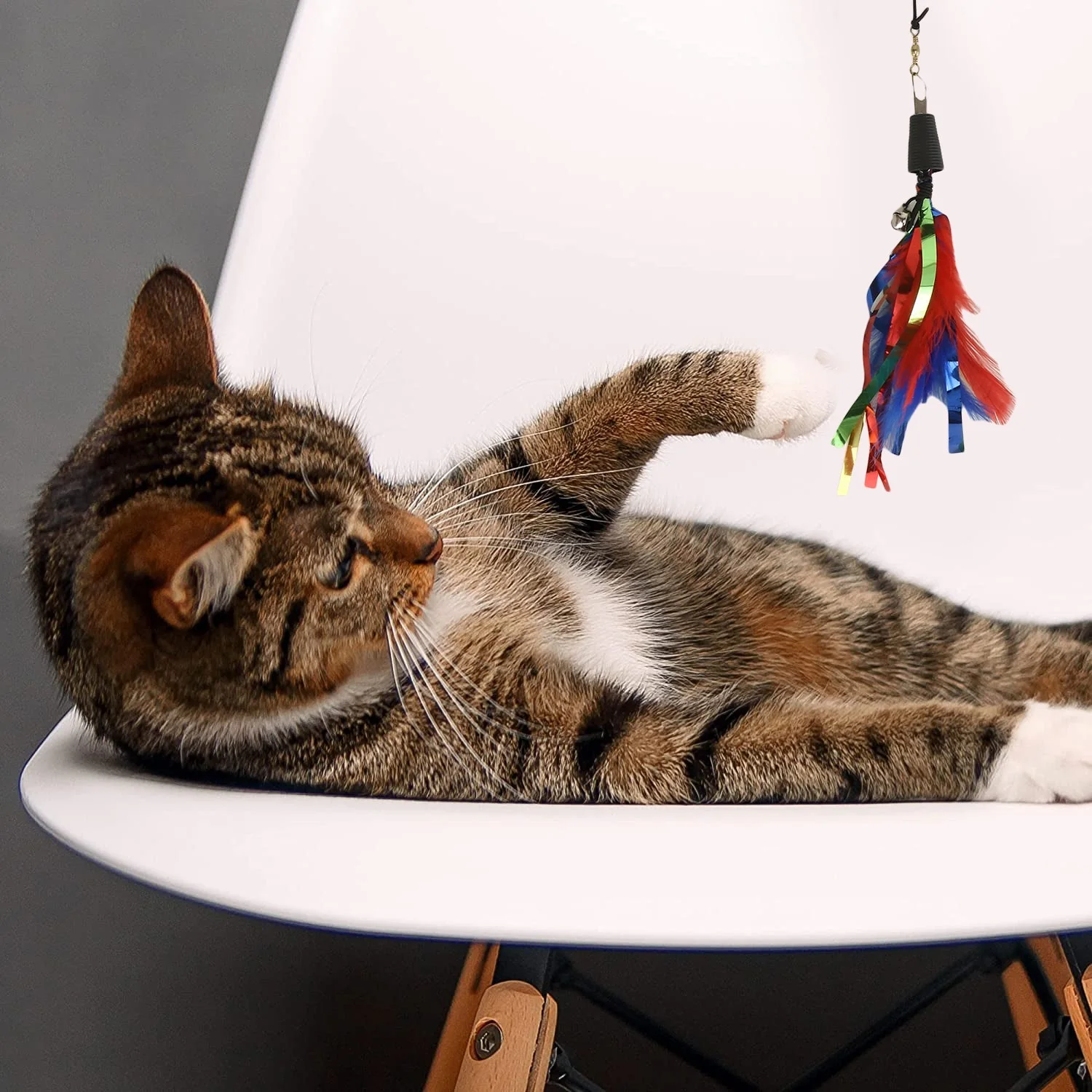 Basil Cat Teaser Stick with Strings & Bell (2) Basil Cat Teaser Stick with Strings & Bell (2)