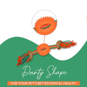 Basil Dental Rope & Bone Chew Toy for Dogs 3