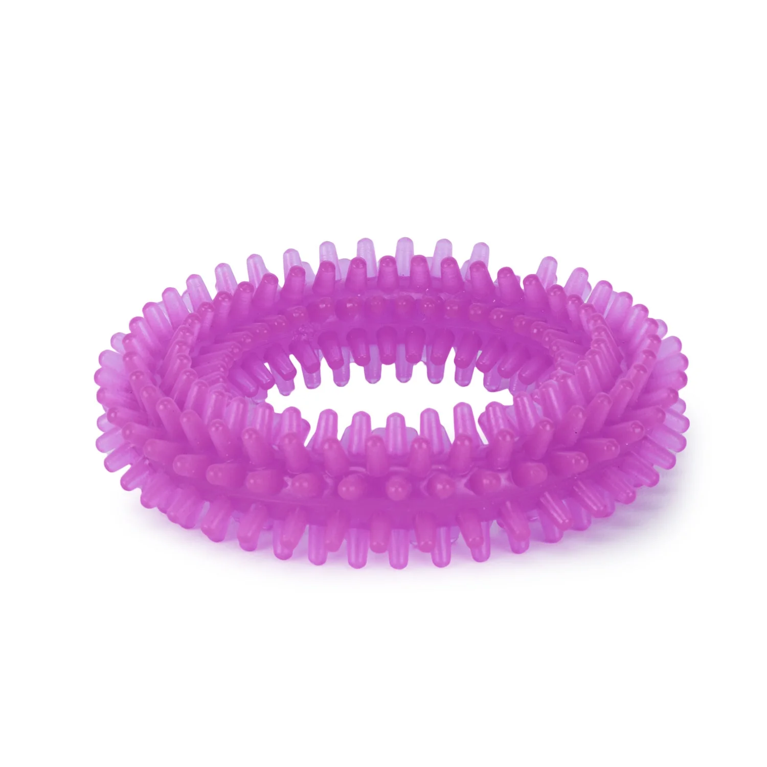 Basil Dog Chew Toy, Spiked Ring (2) Basil Dog Chew Toy, Spiked Ring (2)