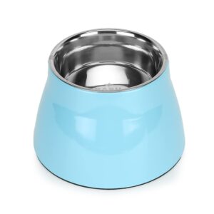 Basil Elevated & Stainless Steel Bowl 1