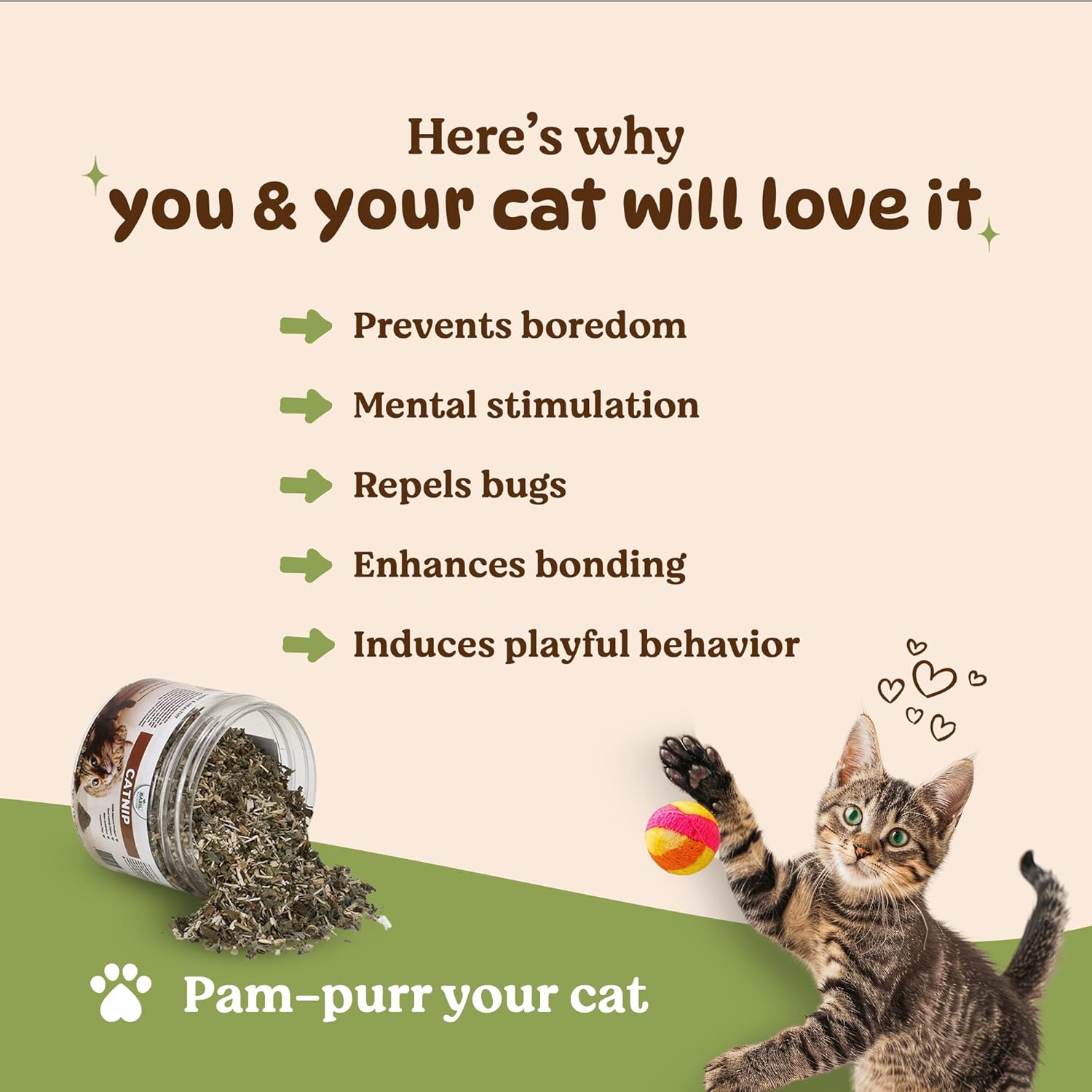 Basil Natural Catnip Jar for Kittens & Cats (30g) (2) Basil Natural Catnip Jar for Kittens & Cats (30g) (2)