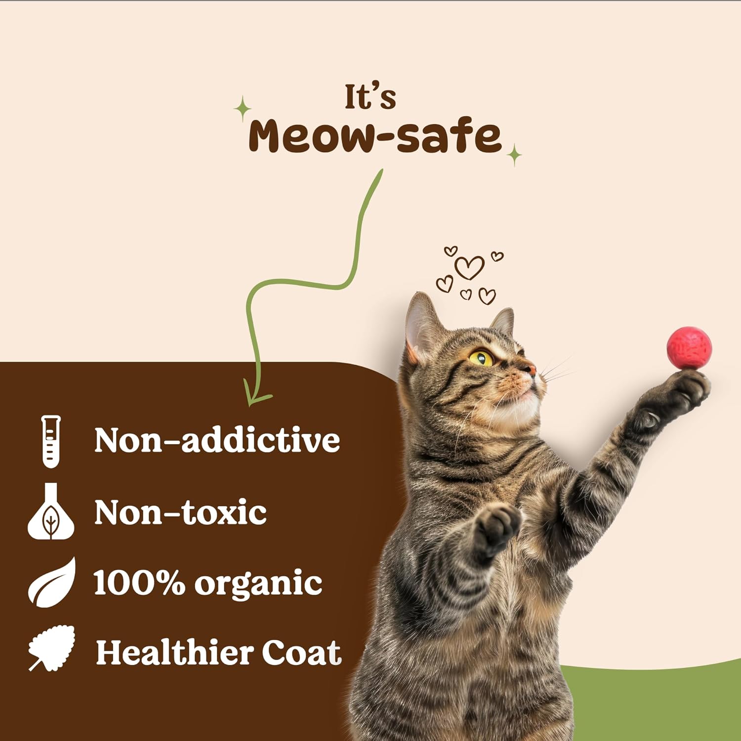 Basil Natural Catnip Jar for Kittens & Cats (30g) (3) Basil Natural Catnip Jar for Kittens & Cats (30g) (3)