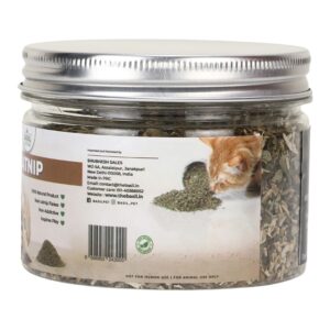Basil Natural Catnip Jar for Kittens & Cats (30g) 2