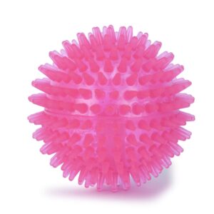 Basil Spiked & Squeaky Chew Ball 2