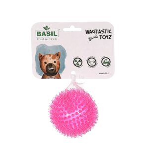 Basil Spiked & Squeaky Chew Ball 1